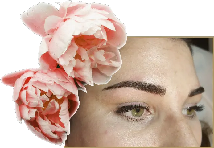  Beauty By B Headpiece Png Brows Png