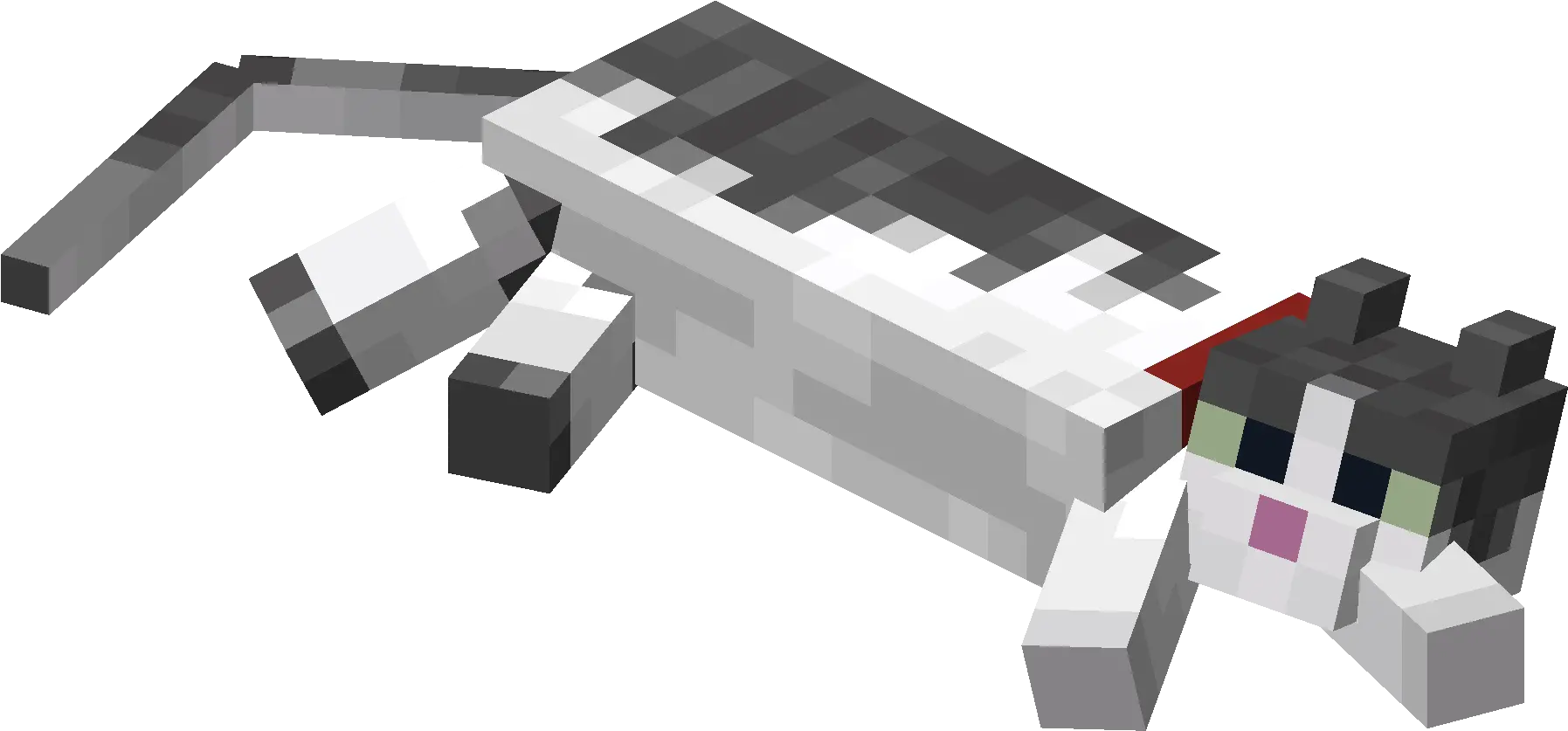  Lying Down Jellie Cat With Red Minecraft Jellie Cat Skin Png Collar Png