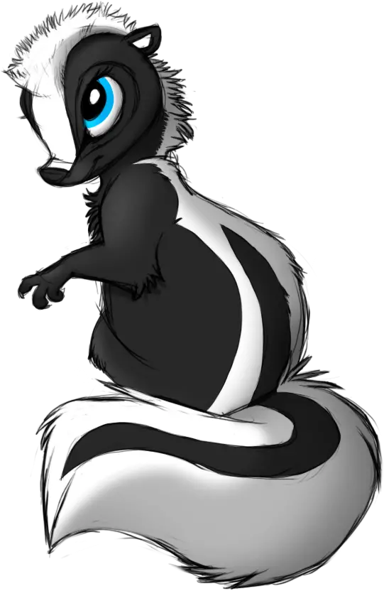  Download Skunk Drawing Skunks Drawing Skunk Png Skunk Png