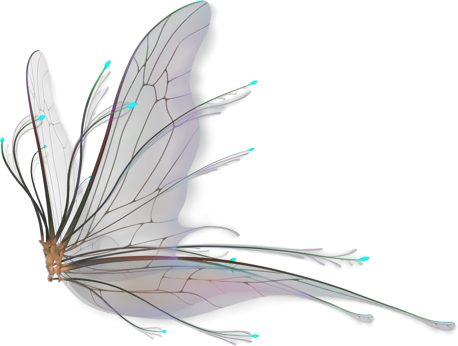  Fairy Wings Png Hd Fairy Wings For Photoshop Wing Png