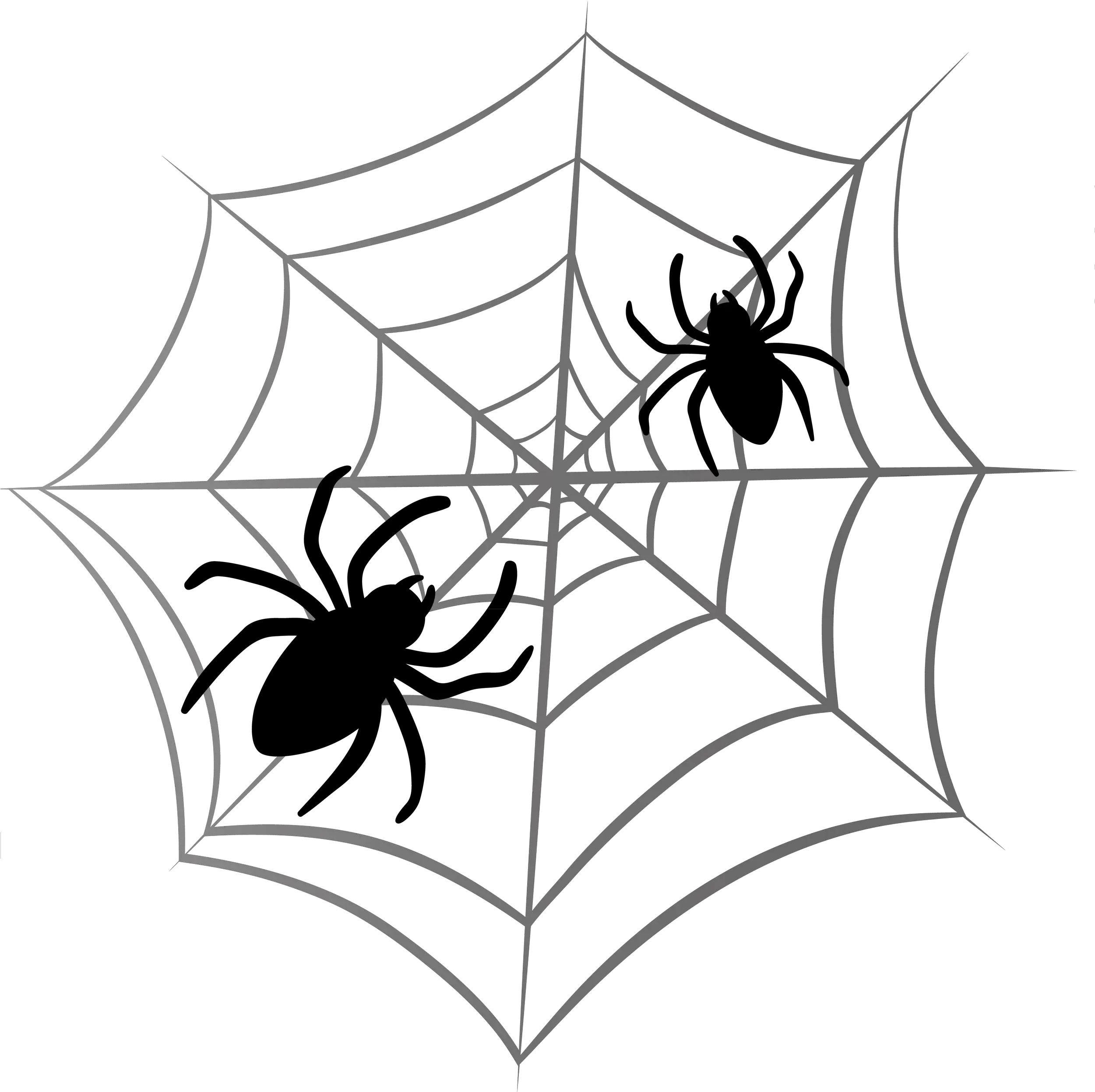  Free Cobweb Png Download Clip Art Spider Web Drawing Cobweb Png