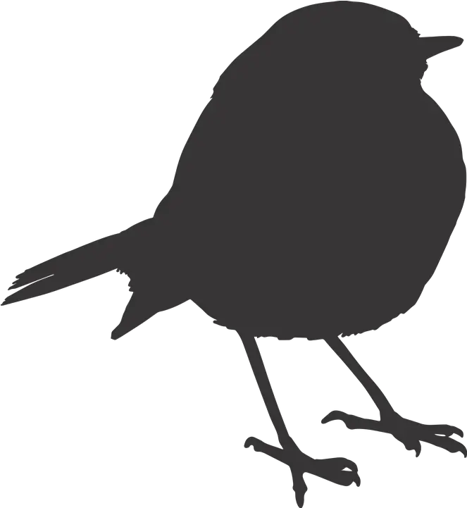  Sparrow Silhouette Png 4 Image Raven