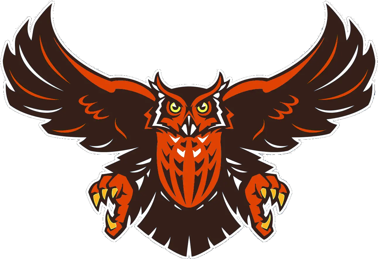  Owl Orange Cut Rice University Football Logo Png Cut Png