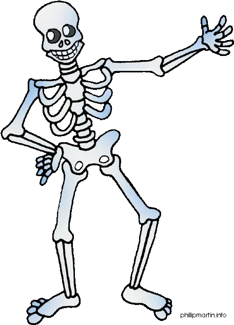  Library Of Clip Art Freeuse Stock Halloween Skeleton Png Free Clipart Skeleton Skeleton Png Transparent