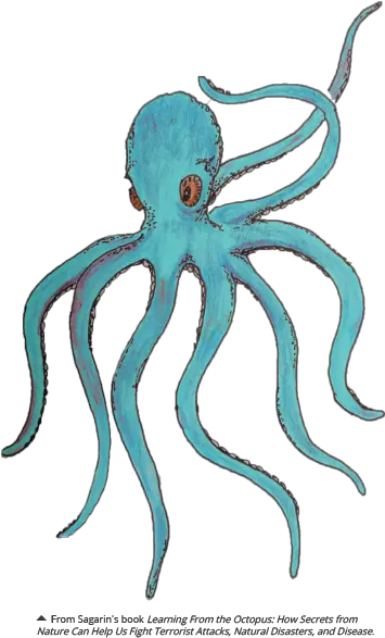  Octopus Octopus Png Octopus Png