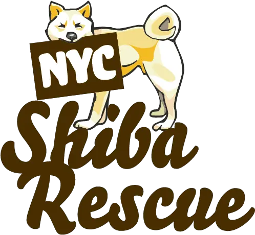  Shiba Inu Rescue Consciously Cool Chick Northern Breed Group Png Shiba Inu Transparent