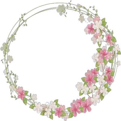  Cadre Cercle Pink Fleur Frame Flowers Floral Frame Transparent Background Png Flower Circle Png