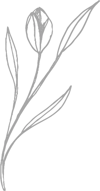  A Diamond Patterned Trellis Vine Wall Sketch Png Wall Vines Png