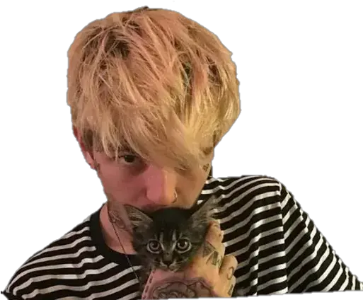  Lil Whatsapp Stickers Lil Peep Cat Png Lil Peep Logo