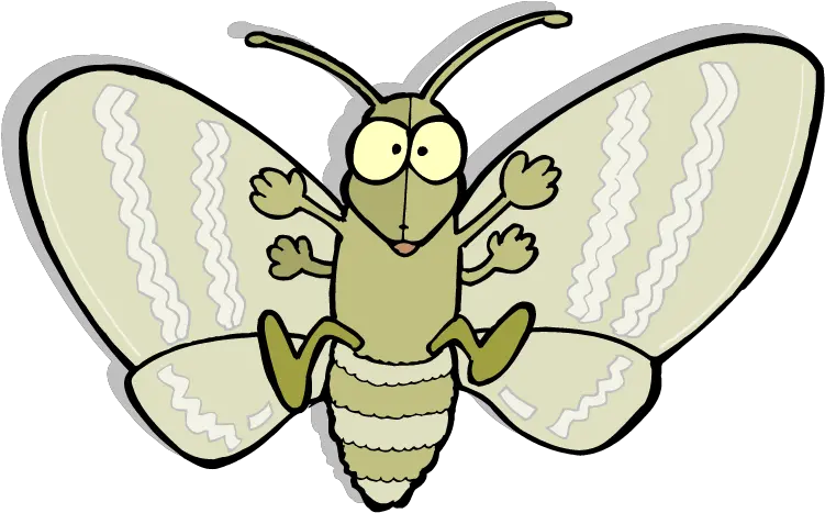  Download Moth Png Picture Moth Cartoon Png Moth Png