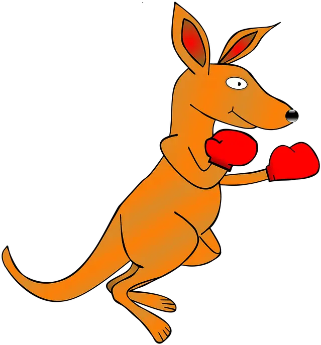  Boxing Kangaroo Png 4 Image Boxing Kangaroo Transparent Background Kangaroo Transparent Background