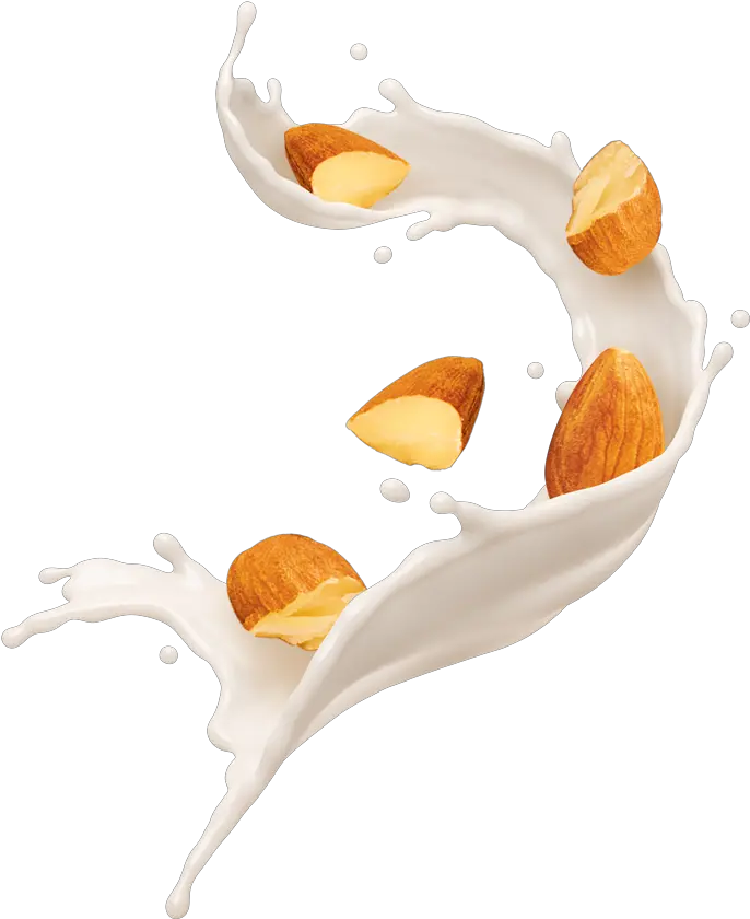  Almond Milk Splash Png Almond Milk Splash Png Almonds Png