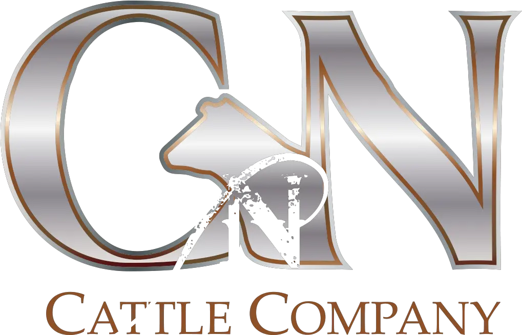  Cnn Cattle Company Graphic Design Png Cnn Logo Png