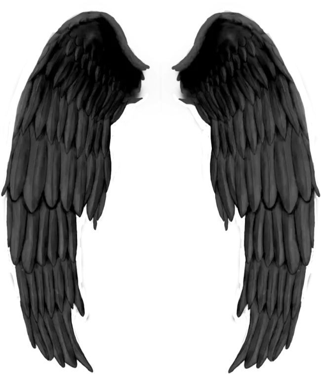  Demon Wings Png Images Collection For Petronas Towers Wing Png