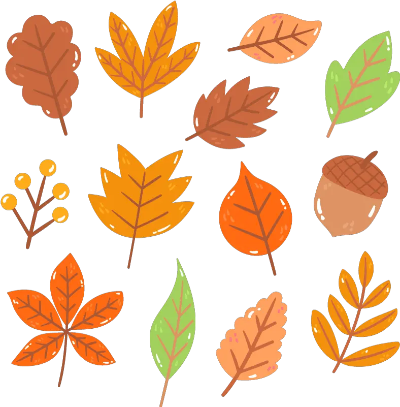  Autumn Leaves Plant Decals Decorative Png Autumn Leaf Icon