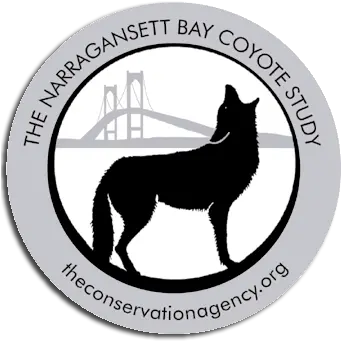  Narragansett Bay Coyote Study The Conservation Agency Donkey Png Coyote Png