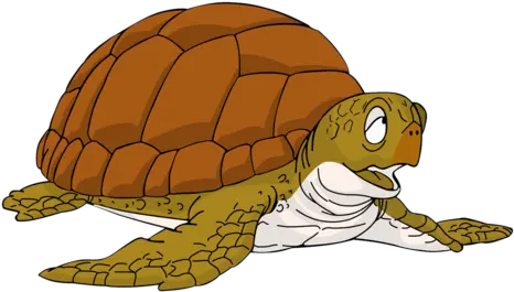  Turtle Dragon Ball Turtle Png Master Roshi Png