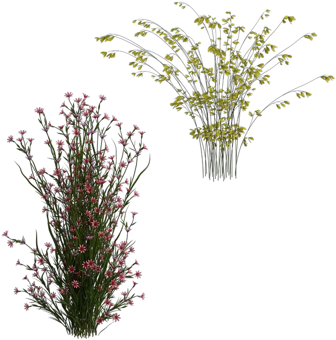  Shrubs Pretty Flowers Free Image On Pixabay Bouquet Png Shrubs Png