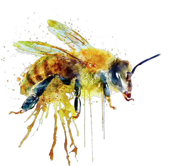  Bees Transparent Watercolor Transparent Watercolor Bee Bee Watercolor Png Transparent Bees