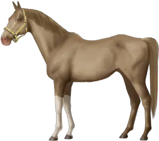  Gucci Mane Horse World Online Horse World Online Png Gucci Mane Png