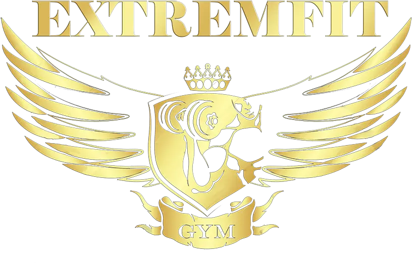  Extremfit Gym Gimnasio Musculación Cross Training Dumbbell Png Gym Logos