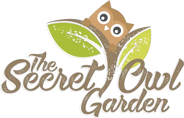  School Visits To The Secret Owl Garden Education Wales Illustration Png Owl Eyes Logo