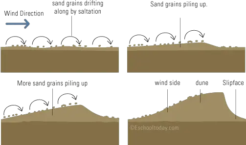  What Is A Sand Dune Landform Formation Of Sand Dunes Png Sand Dunes Png