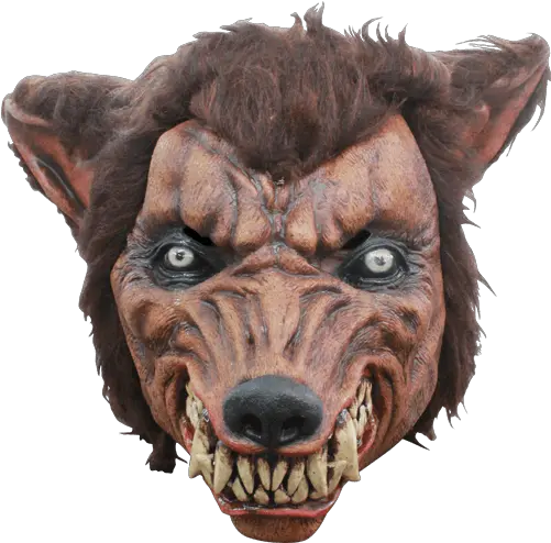  Wolf Dog Mask Transparent Png Stickpng Wolf Mask Png Wolf Transparent