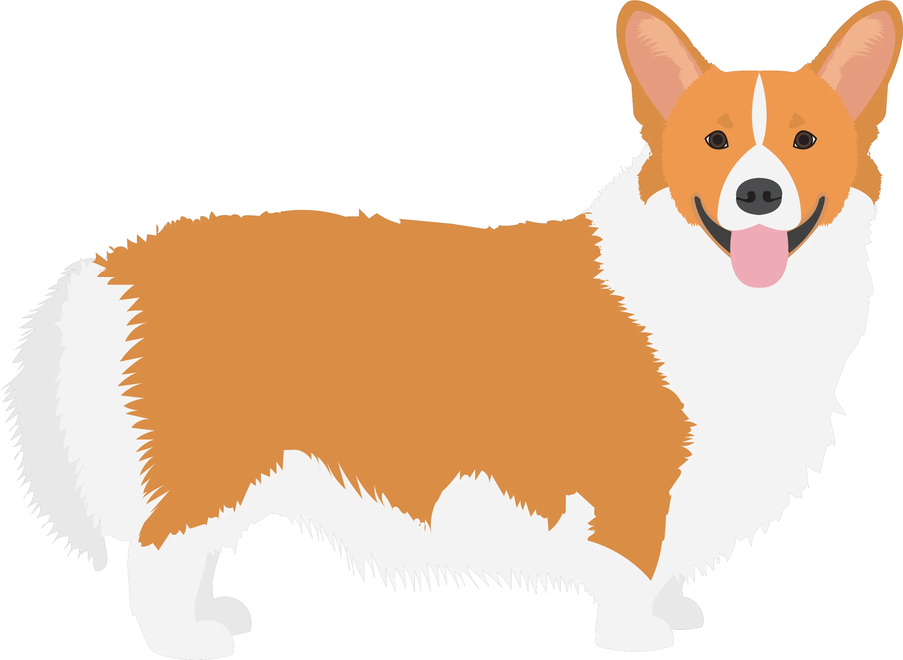  Pembroke Welsh Corgi Cardigan Pembroke Welsh Corgi Png Corgi Png