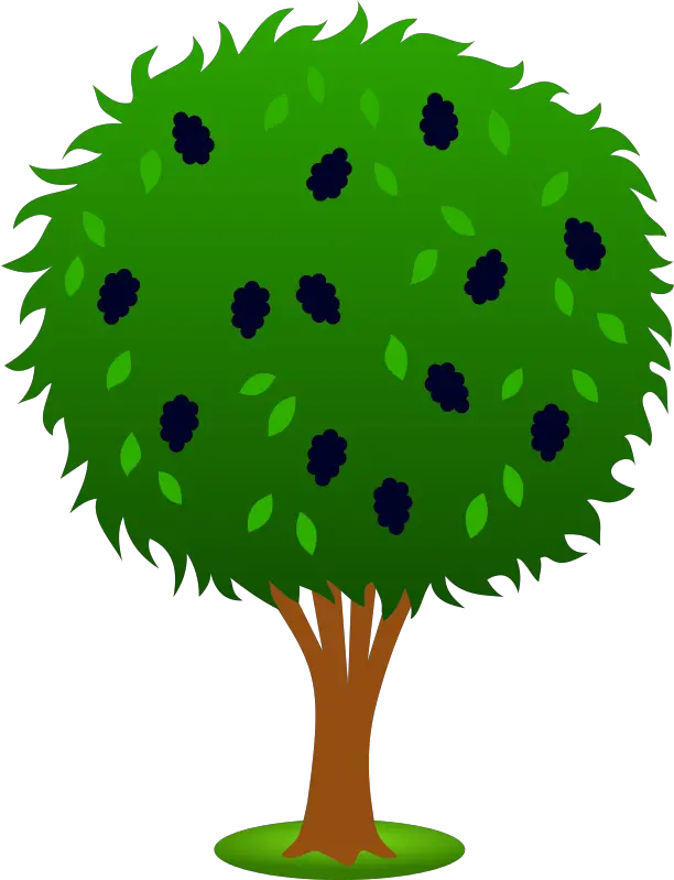  Bushes Clipart Free Download Clip Art Clipartbarn Apple Tree Clipart Png Shrub Transparent Background