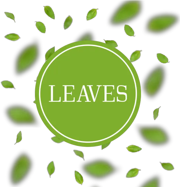  Download Leaves Arrangement Background With Blur Circle Png Blur Png