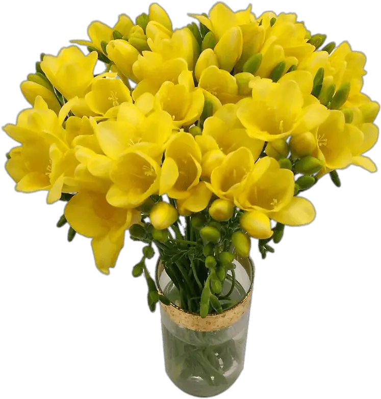  Bouquet Of Yellow Freesias Transparent Png Stickpng Vase Marigold Transparent