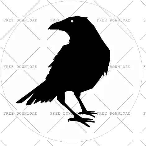  Crow Bird Png Image With Transparent Royalty Free Raven Silhouette Crow Transparent