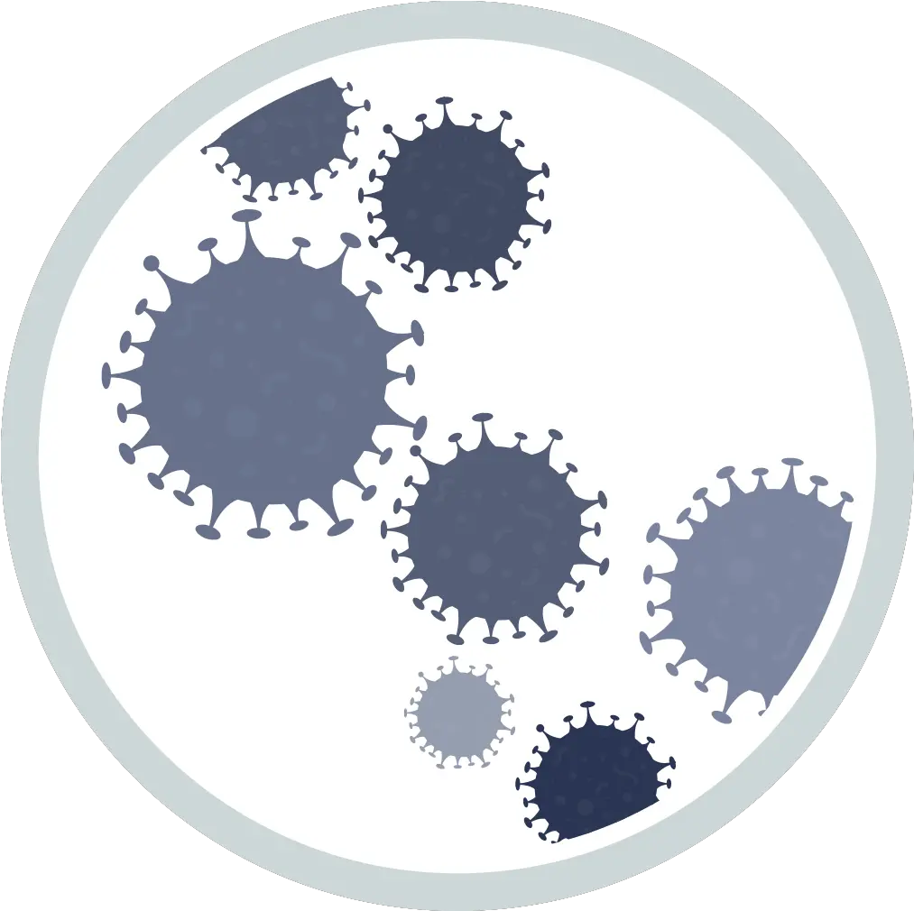  The Antimicrobial Activity Of Tannins Tanninsorg Enfield Png Bacteria Transparent