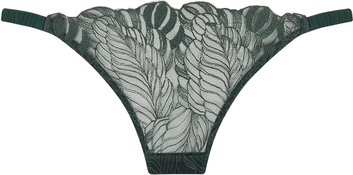  Frieda Thong Underpants Png Thong Png