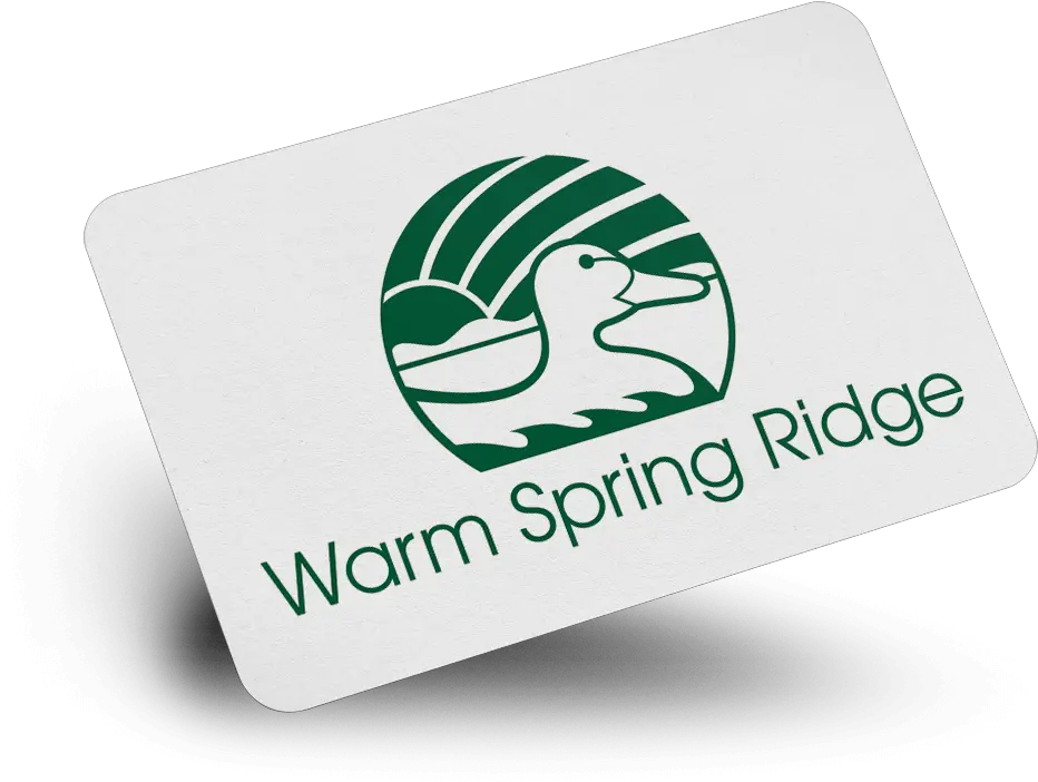  Warm Spring Ridge Logo Design Ducks Png Cubic Logos