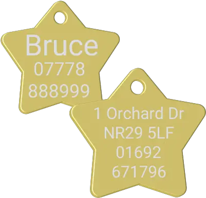  Pet Id Name Tag Gold Star Premium Pet Tags Png Name Tag Png