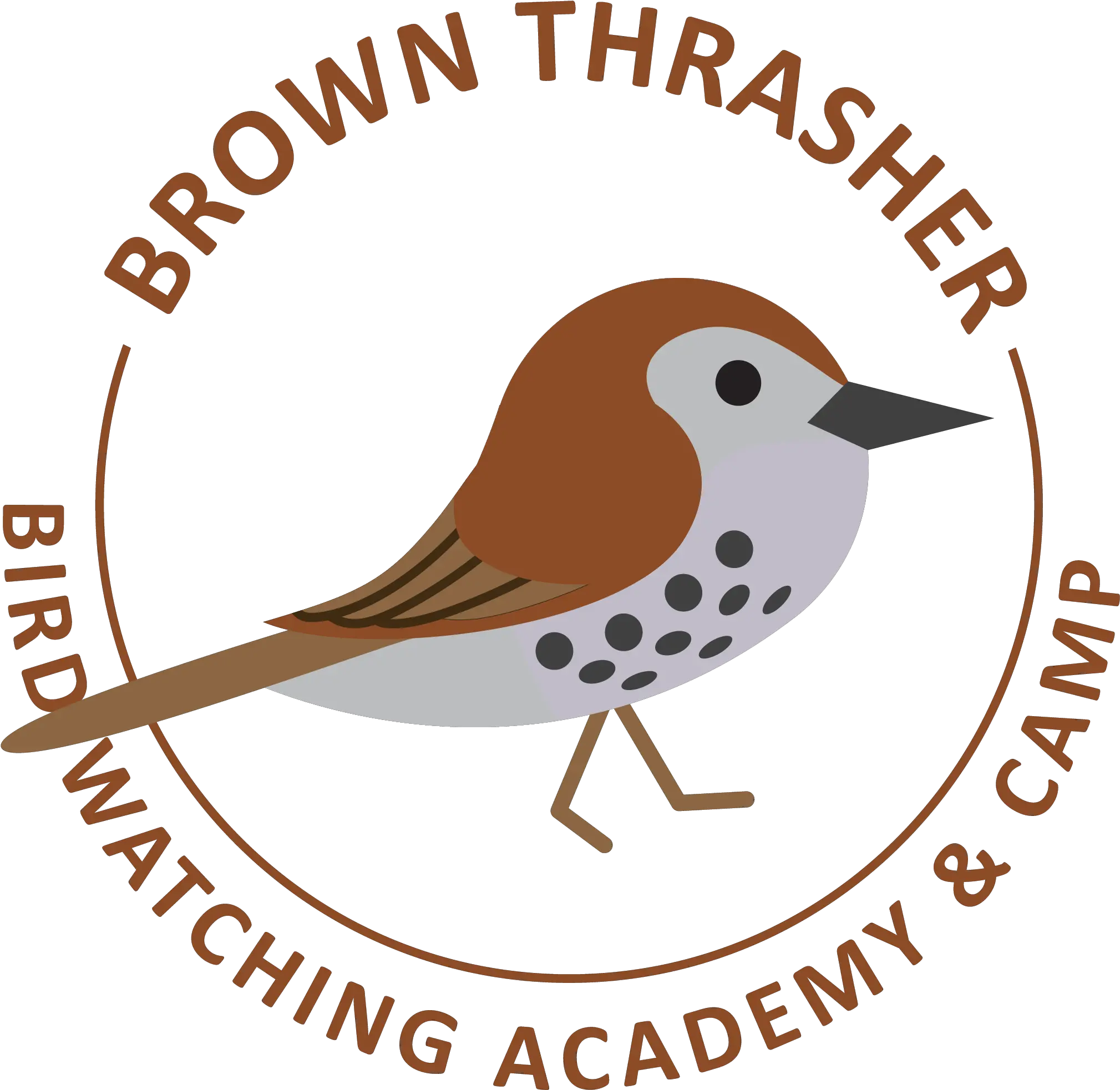  Brown Thrasher Bird Watching Academy Pdam Kendal Png Thrasher Logo Png