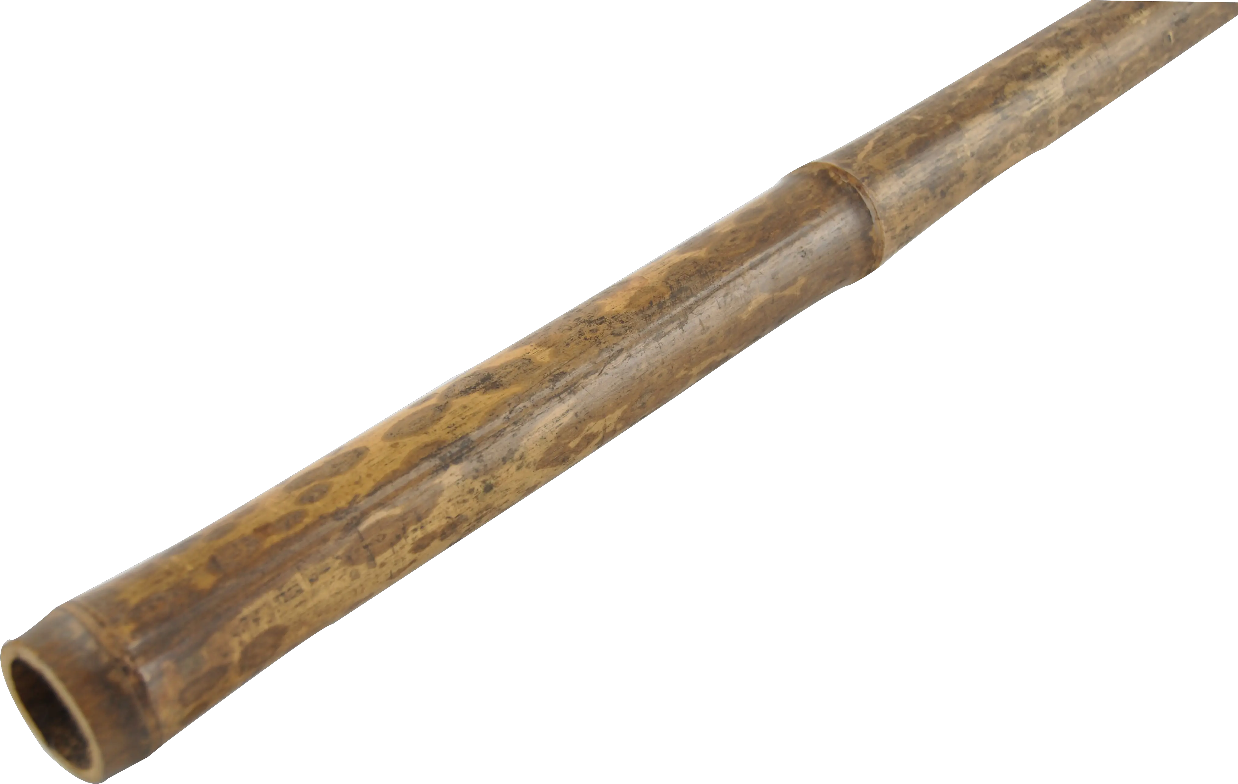  Brown Tiger Bamboo Length 295cm Globstor Rifle Png Blunt Transparent Background