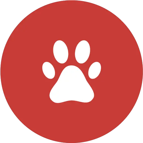  Pets Friendly Policy Burnie Airport Motel Dog Paw Png Pet Friendly Icon