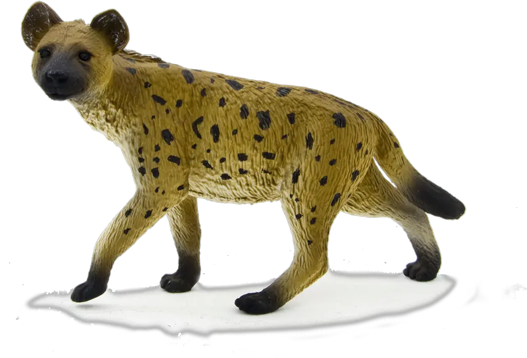  Hyena Png Free Download