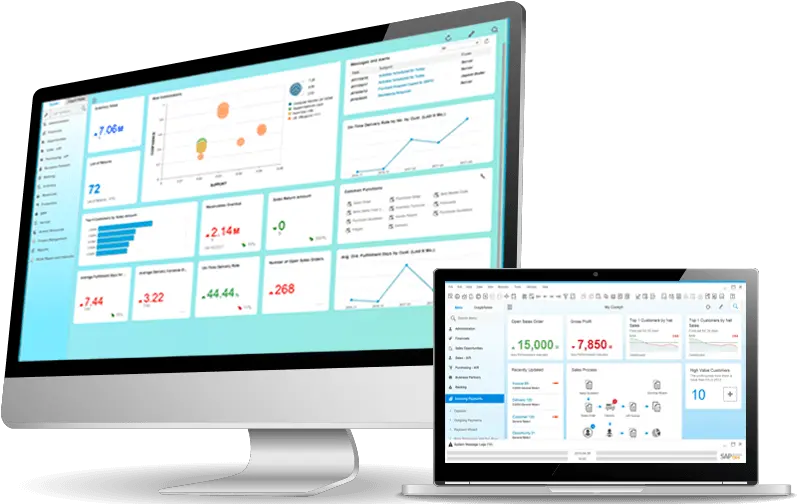  Sap Business One By Consultare U2013 Food Industry Executive Technology Applications Png Sap Icon List