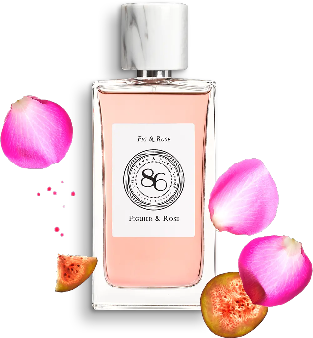  Fragrance Fig U0026 Rose Eau De Parfum Lu0027occitane L Occitane Fig And Rose Png Fig Png