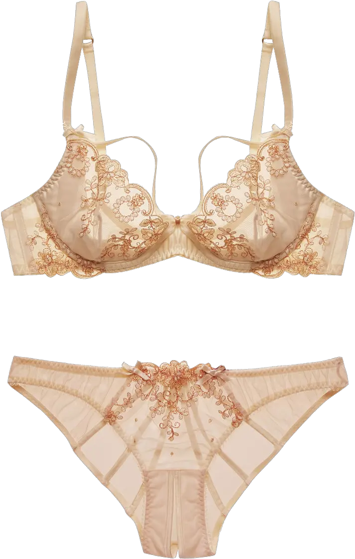  Lu0027agent By Agent Provocateur U201clusinau201d Bra And Panties L Transparent Bra And Panties Design Png Bra Png