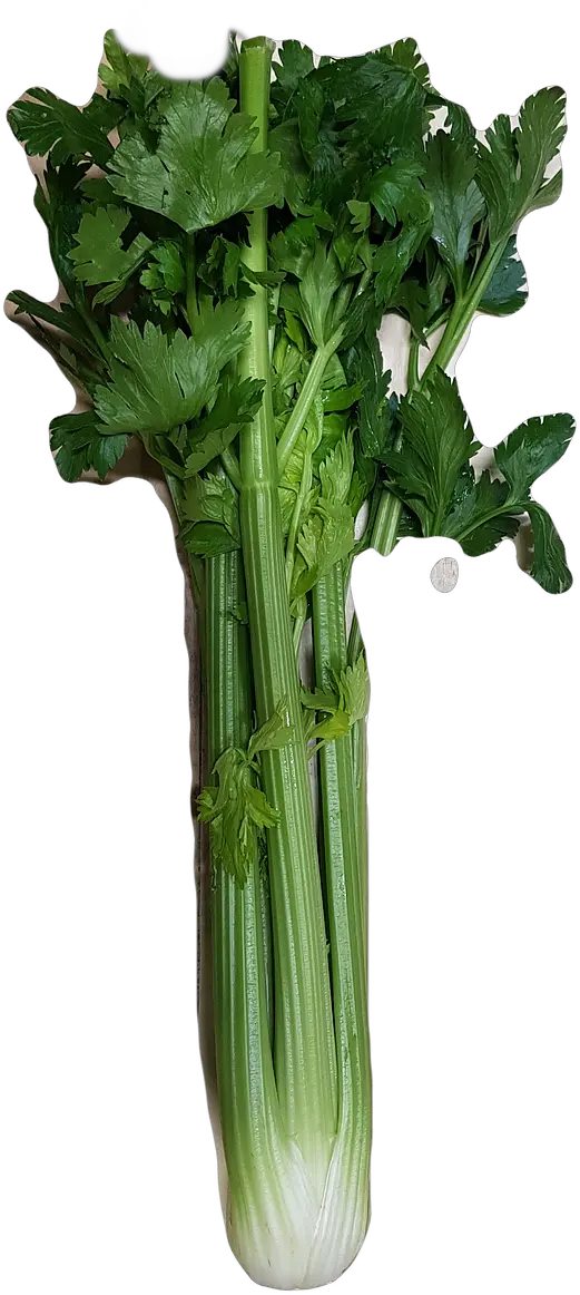  Celery Large Mustard Greens Png Celery Png