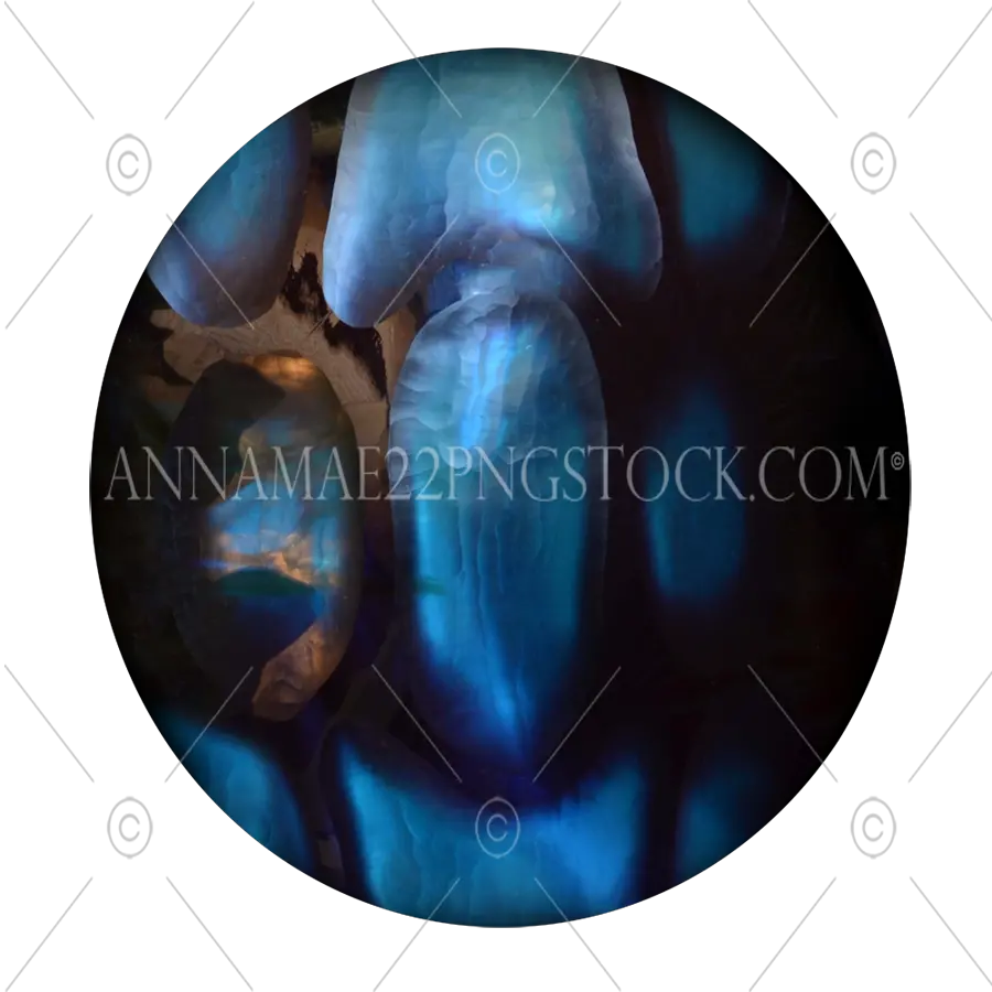  Blue Jewel Abstract Png Stock Photo Transparent Image Fractal Art Jewel Png