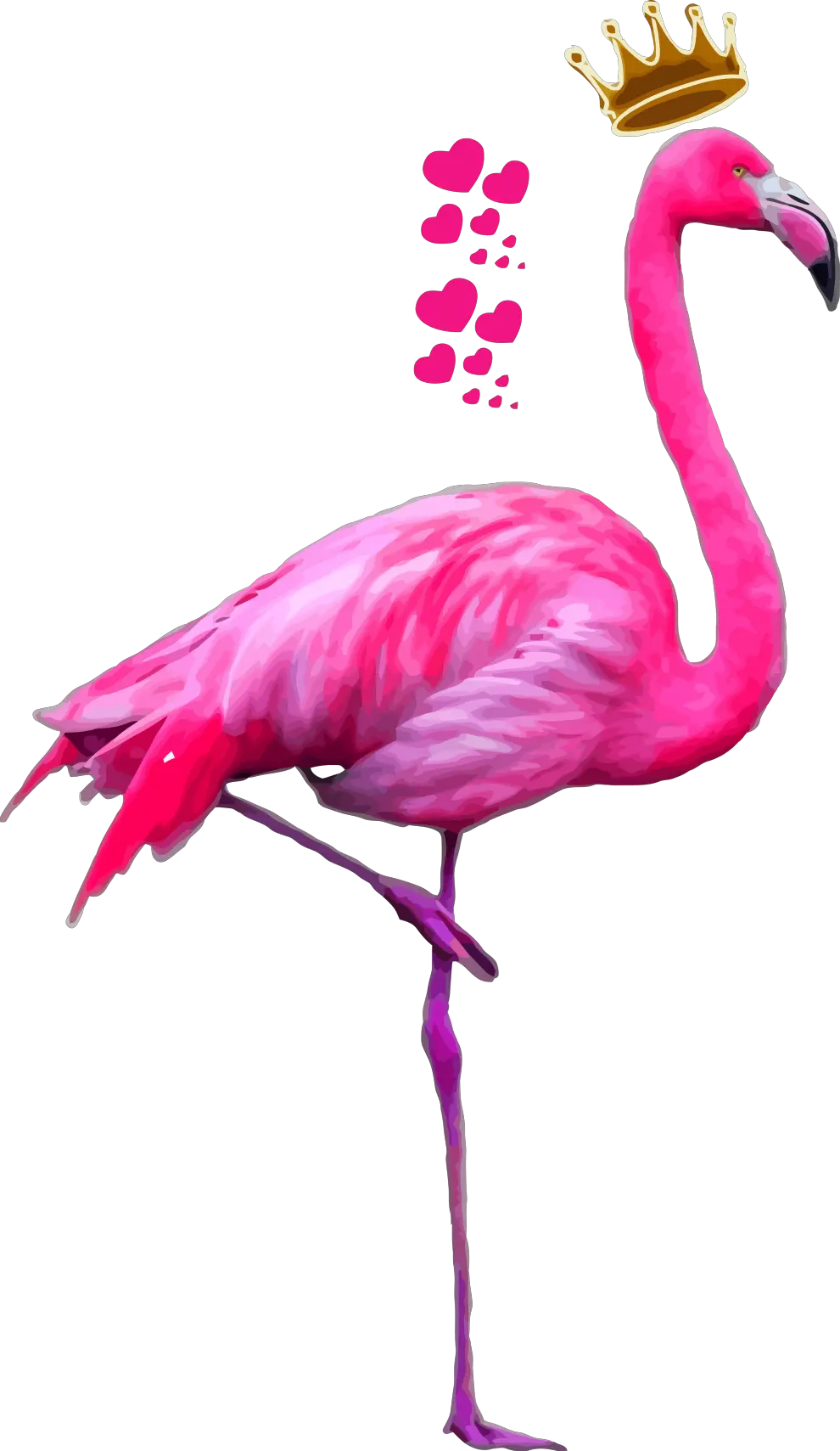  Imagens Png Tumblr Flamingo Png Flamingo Transparent Background