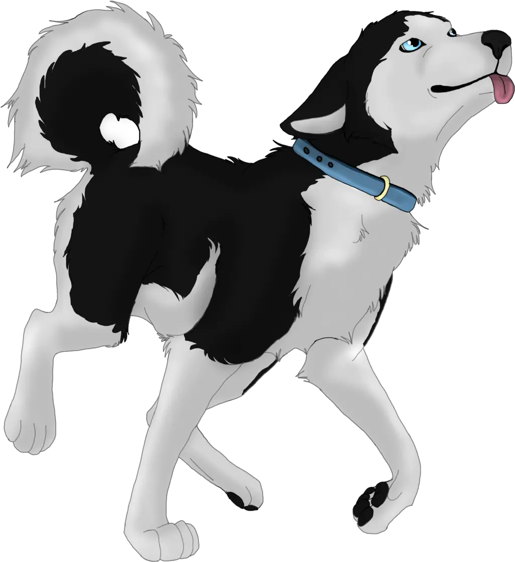  Husky Png Husky Clipart Husky Transparent Background