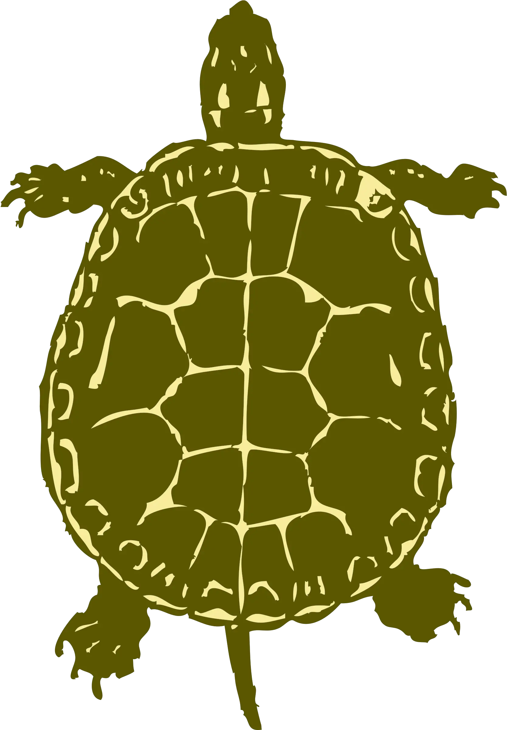  Download Turtlepngtransparentimagestransparent Turtle Silhouette Png Tortoise Png