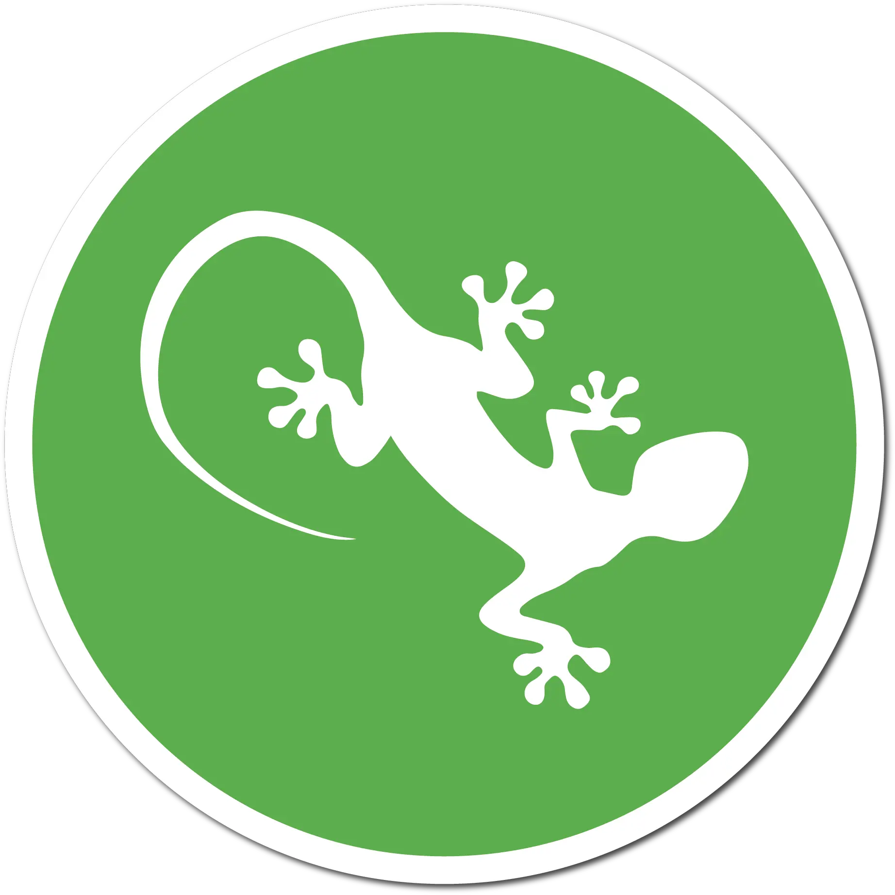  Lizard Fencing Amphibians Png Lizard Icon